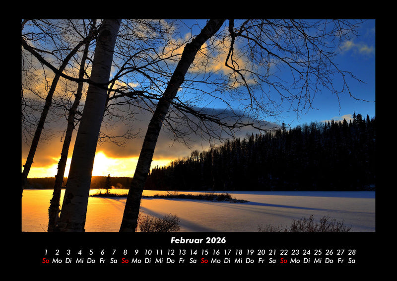 Bäume Fotokalender 2026 - 2