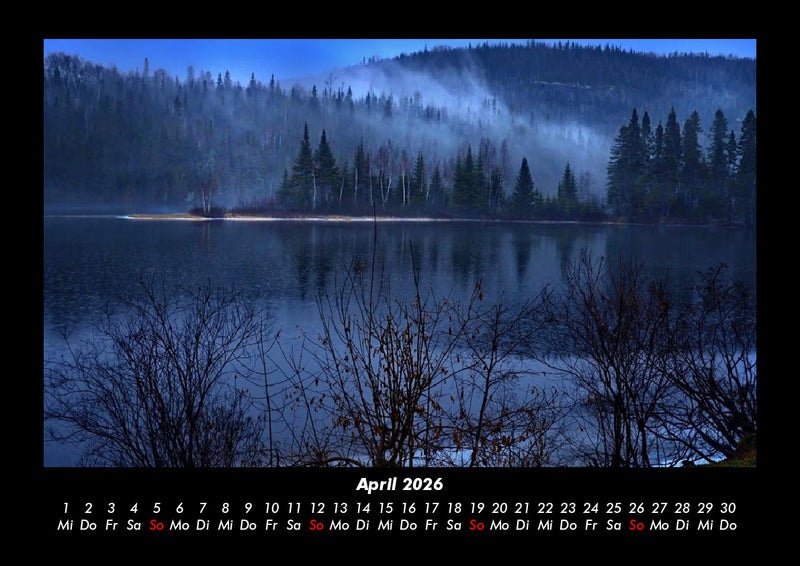 Bäume Fotokalender 2026 - 4