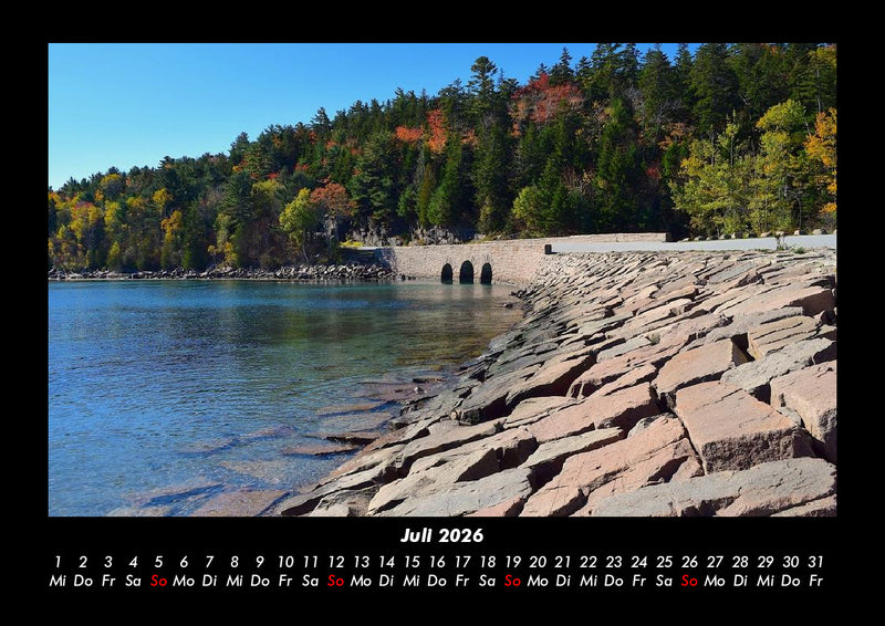 Bäume Fotokalender 2026 - 7