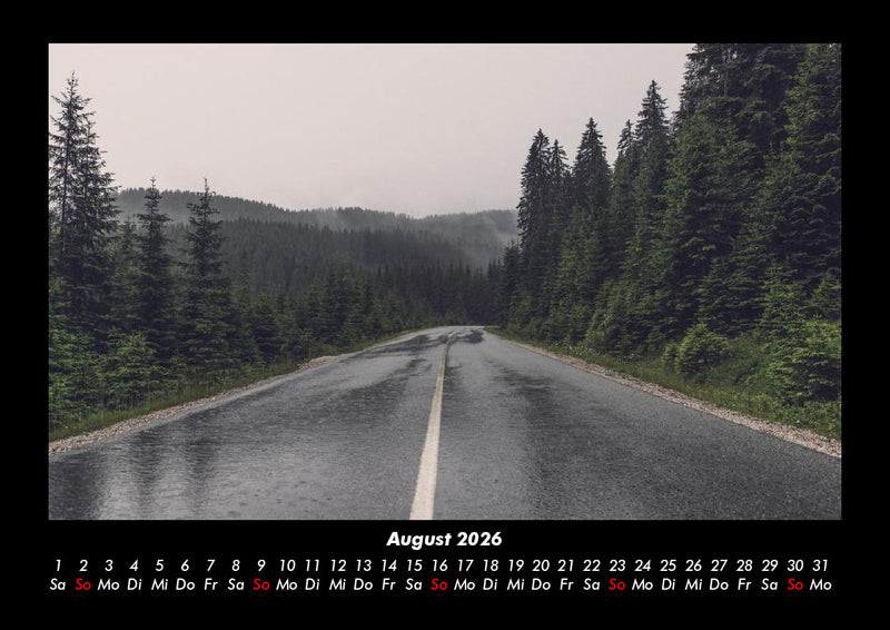 Bäume Fotokalender 2026 - 8