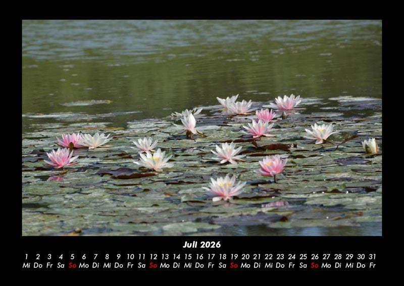 Seeblick Fotokalender 2026 - 7