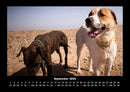 Hundezauber Fotokalender 2026 - 9