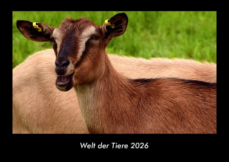 Welt der Tiere Fotokalender 2026 - Hauptbild
