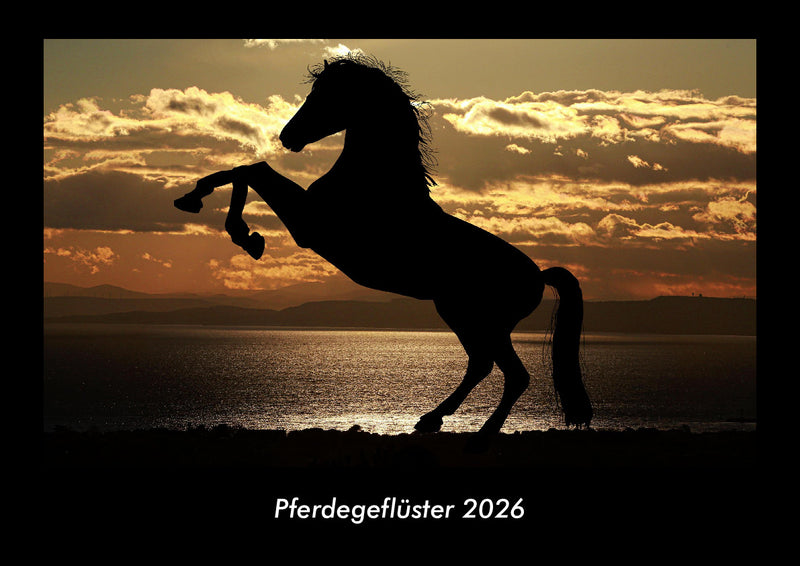 Pferdegeflüster Fotokalender 2026 - Hauptbild