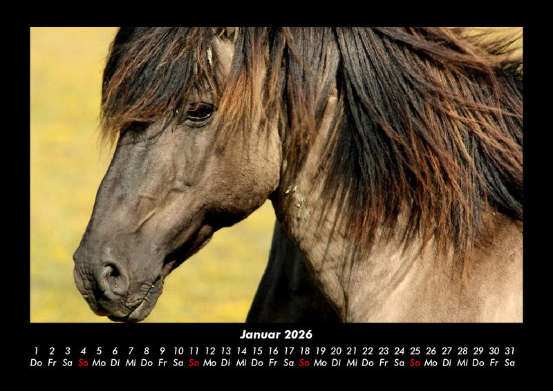 Pferdegeflüster Fotokalender 2026 - 1