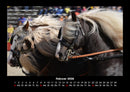 Pferdegeflüster Fotokalender 2026 - 2