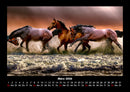 Pferdegeflüster Fotokalender 2026 - 3
