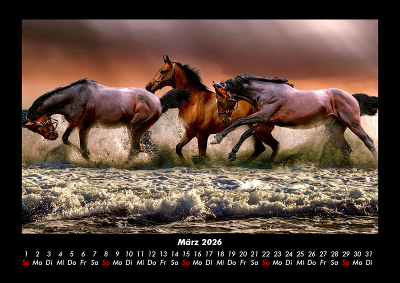 Pferdegeflüster Fotokalender 2026 - 3