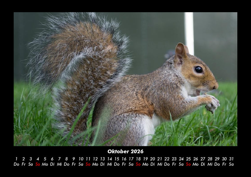 London Fotokalender 2026 - 10