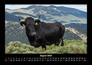 Kuhkalender Fotokalender 2026 - 8