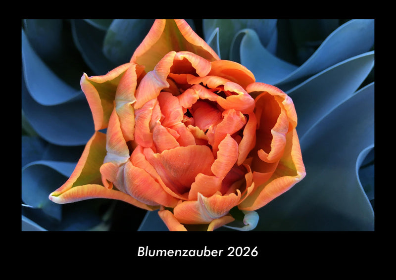 Blumenzauber Fotokalender 2026 - Hauptbild