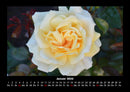 Blumenzauber Fotokalender 2026 - 1