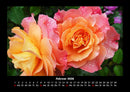 Blumenzauber Fotokalender 2026 - 2