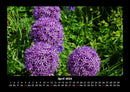 Blumenzauber Fotokalender 2026 - 4