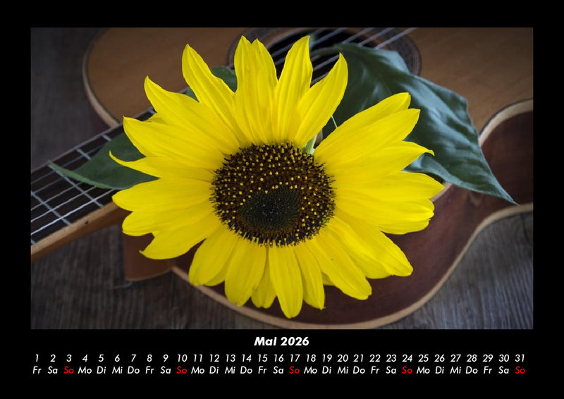 Blumenzauber Fotokalender 2026 - 5
