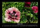 Blumenzauber Fotokalender 2026 - 8