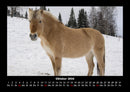 Pferde Kalender Fotokalender 2026 - 10