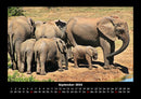 Der Elefantenkalender Fotokalender 2026 - 9