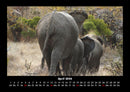 Der Elefantenkalender Fotokalender 2026 - 4