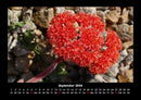 Blumenkalender Fotokalender 2026 - 9