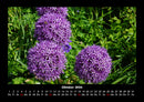 Blumenkalender Fotokalender 2026 - 10