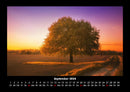 Bäume Fotokalender 2026 - 9