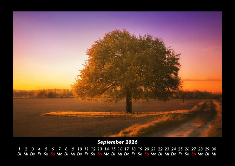 Bäume Fotokalender 2026 - 9