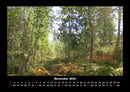 Bäume Fotokalender 2026 - 11