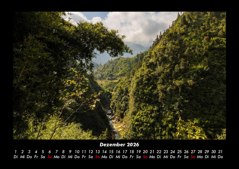 Bäume Fotokalender 2026 - 12