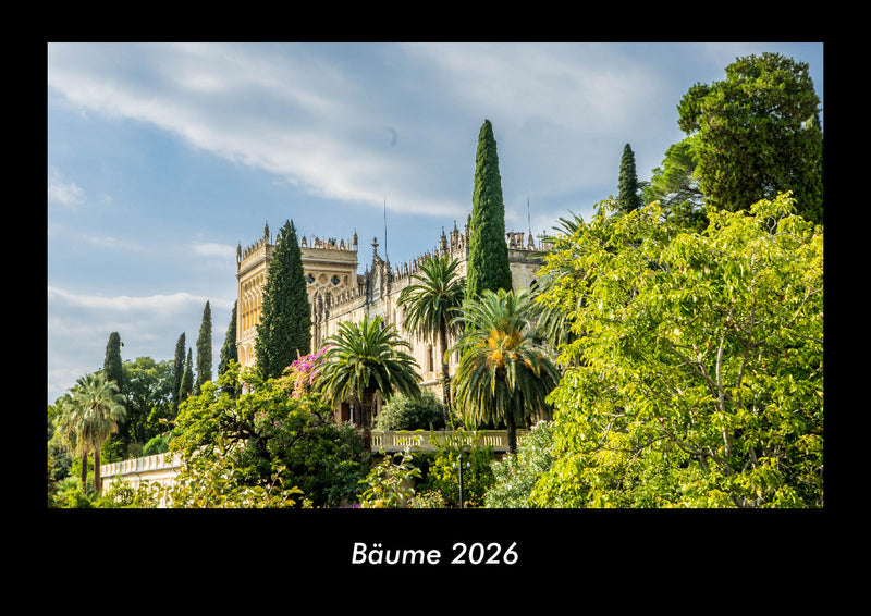 Bäume Fotokalender 2026 - Hauptbild
