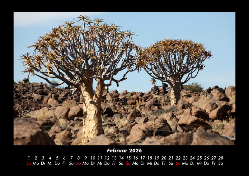 Bäume Fotokalender 2026 - 2