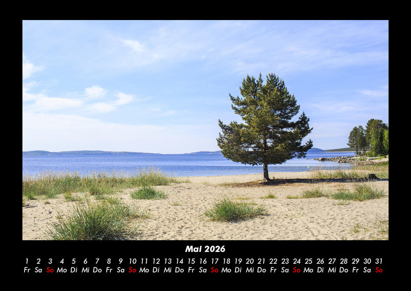 Bäume Fotokalender 2026 - 5