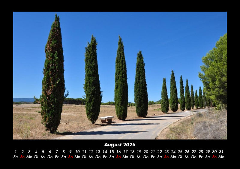 Bäume Fotokalender 2026 - 8
