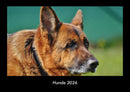 Hunde Fotokalender 2026 - Hauptbild