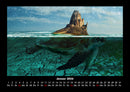 Schildkrötenzauber Fotokalender 2026 - 1