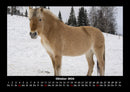 Die Welt der Pferde Fotokalender 2026 - 10