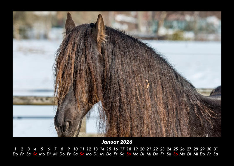 Die Welt der Pferde Fotokalender 2026 - 1