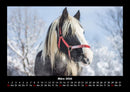 Die Welt der Pferde Fotokalender 2026 - 3
