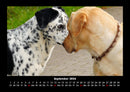 Der Hundekalender Fotokalender 2026 - 9