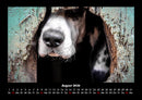 Der Hundekalender Fotokalender 2026 - 8