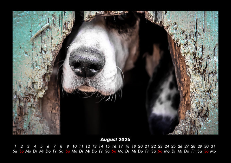 Der Hundekalender Fotokalender 2026 - 8