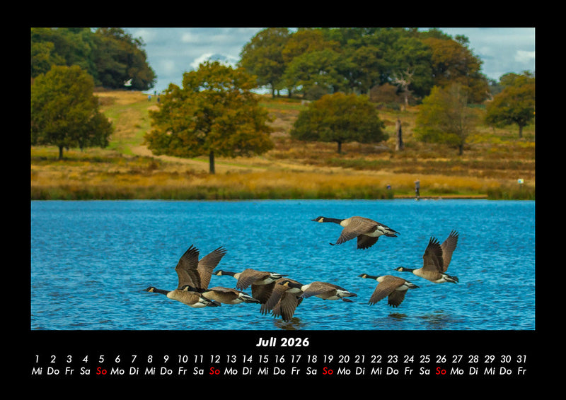 Seeblick Fotokalender 2026 - 7