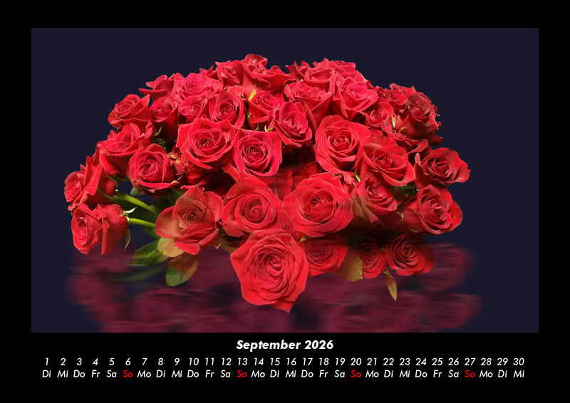 Rosentraum Fotokalender 2026 - 9