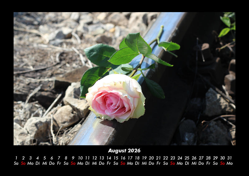 Rosentraum Fotokalender 2026 - 8