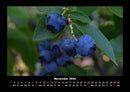 Obstkalender Fotokalender 2026 - 11
