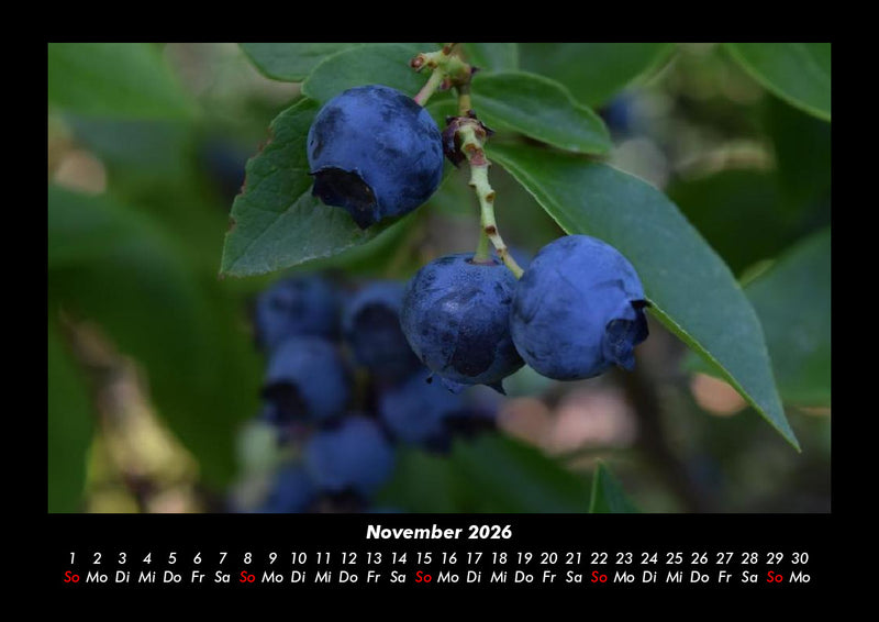 Obstkalender Fotokalender 2026 - 11