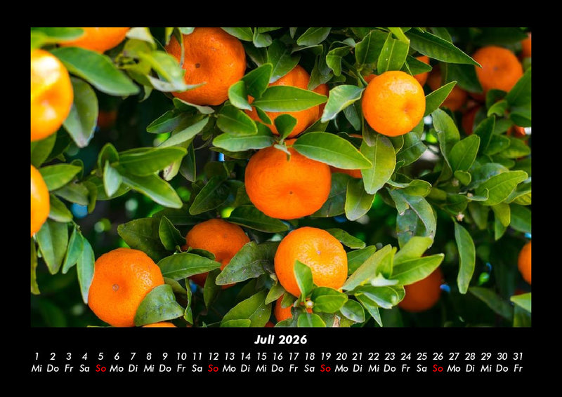 Obstkalender Fotokalender 2026 - 7