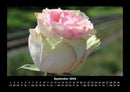 Blumenträume Fotokalender 2026 - 9