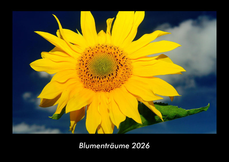 Blumenträume Fotokalender 2026 - Hauptbild