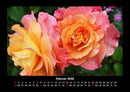 Blumenträume Fotokalender 2026 - 2